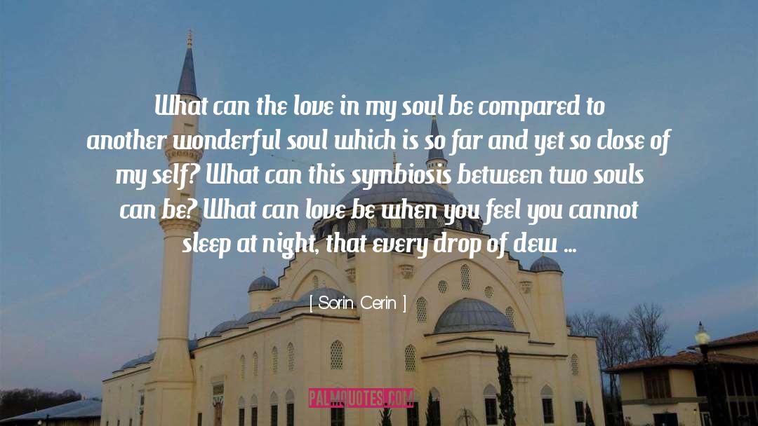 Sorin Cerin Quotes: What can the love in