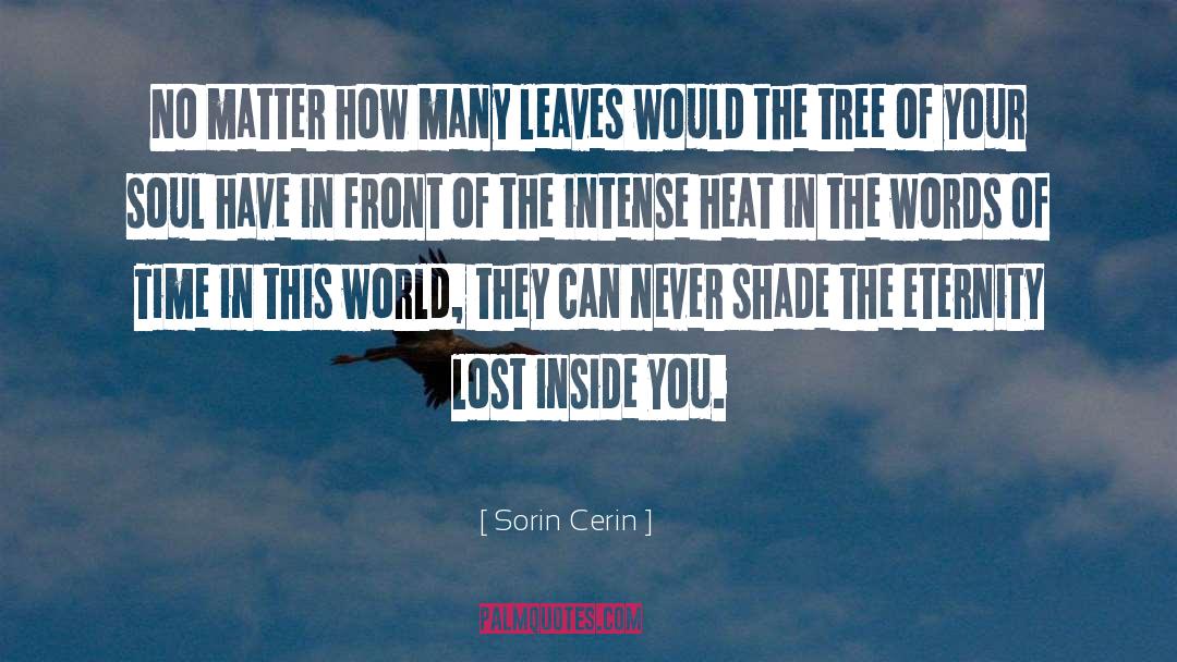 Sorin Cerin Quotes: No matter how many leaves