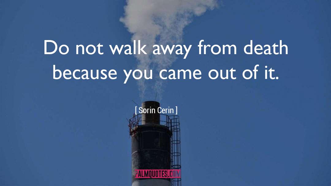 Sorin Cerin Quotes: Do not walk away from