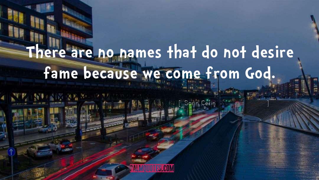 Sorin Cerin Quotes: There are no names that