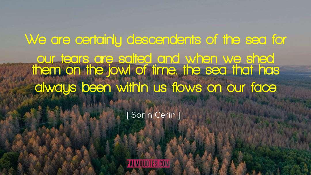 Sorin Cerin Quotes: We are certainly descendents of