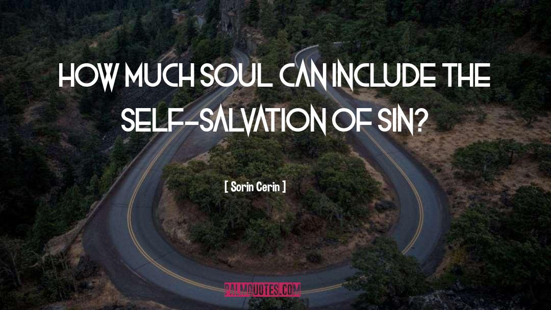 Sorin Cerin Quotes: How much soul can include