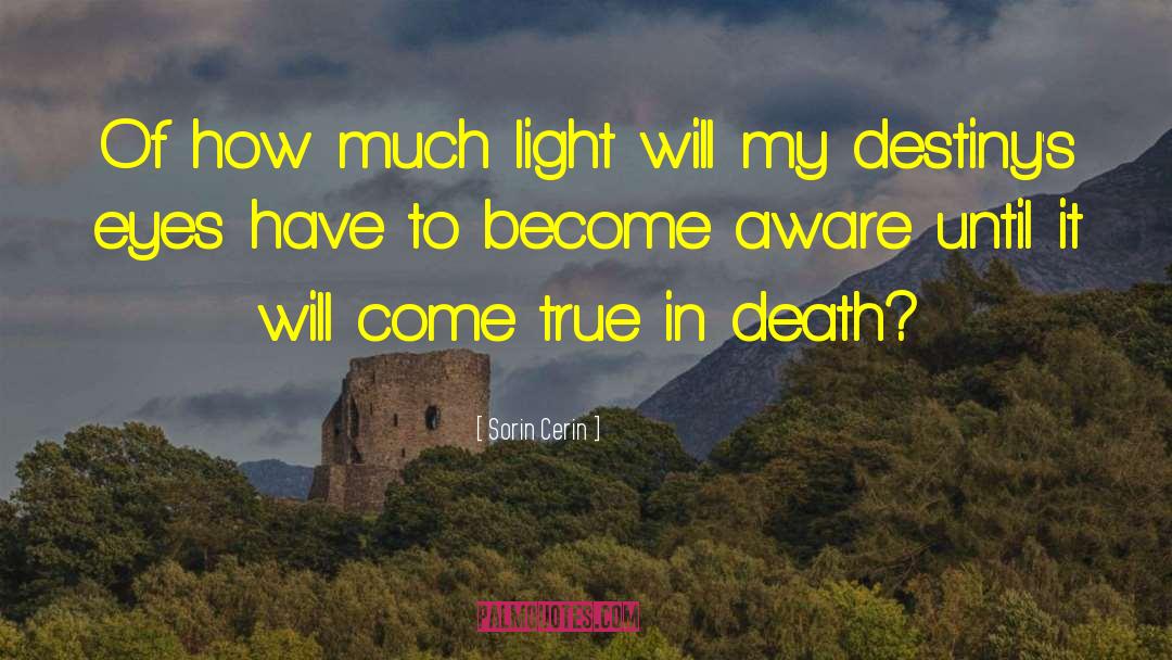 Sorin Cerin Quotes: Of how much light will