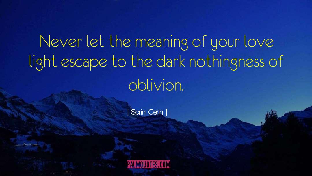 Sorin Cerin Quotes: Never let the meaning of