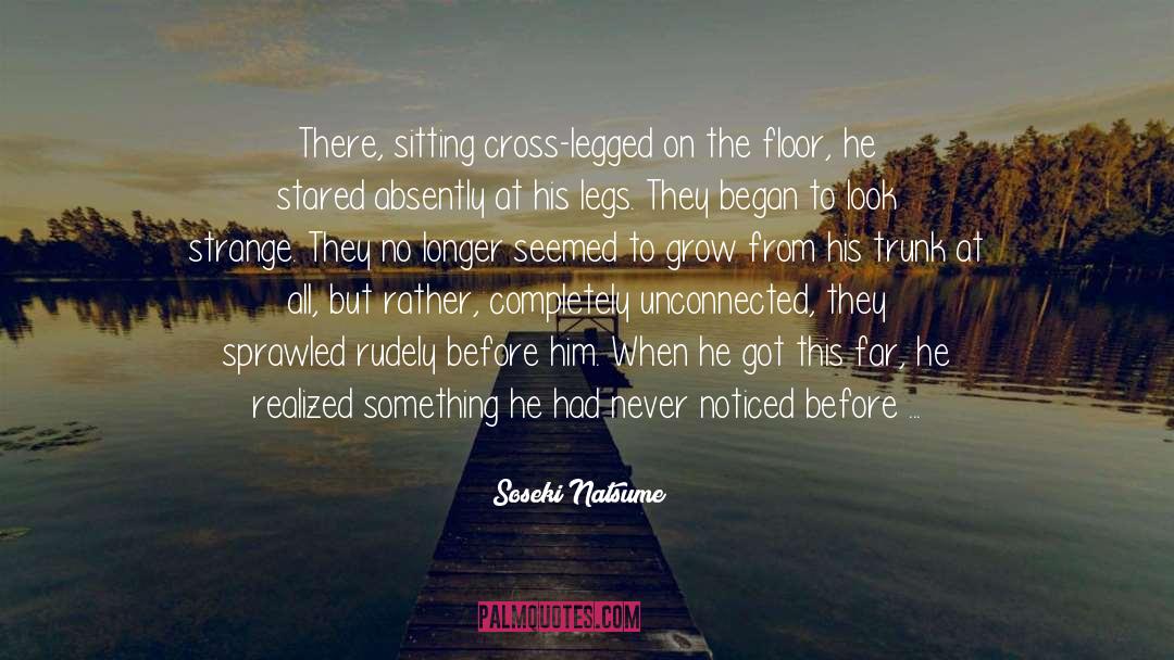 Soseki Natsume Quotes: There, sitting cross-legged on the