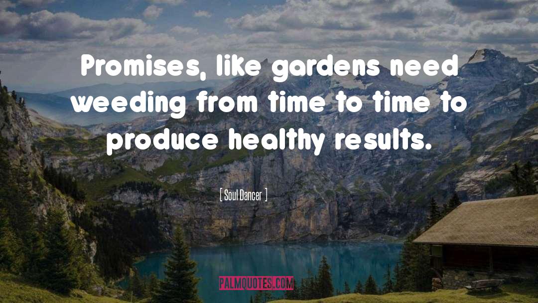 Soul Dancer Quotes: Promises, like gardens need weeding