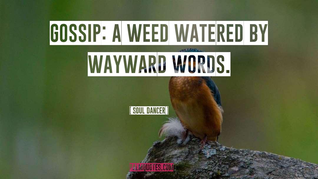 Soul Dancer Quotes: Gossip: a weed watered by