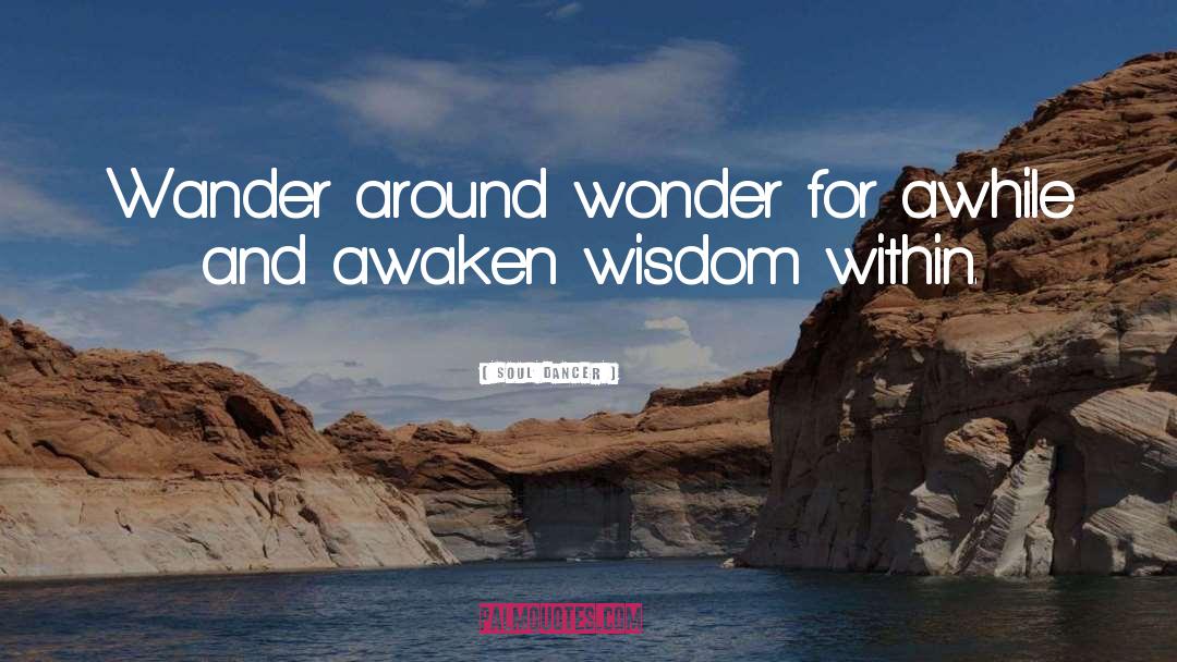 Soul Dancer Quotes: Wander around wonder for awhile