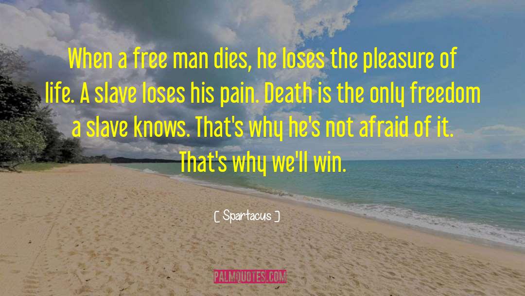 Spartacus Quotes: When a free man dies,