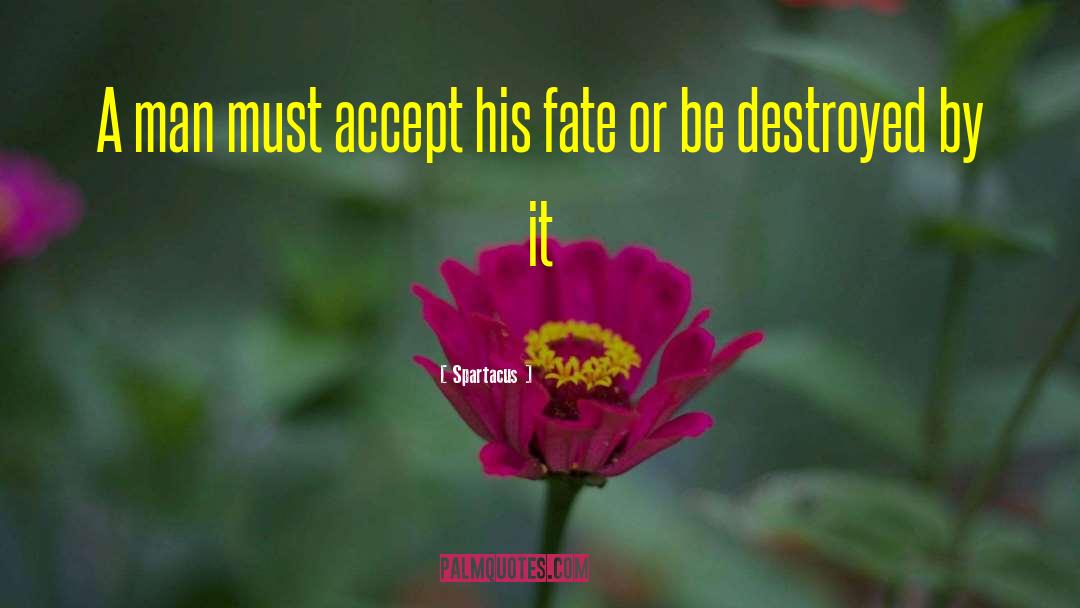 Spartacus Quotes: A man must accept his