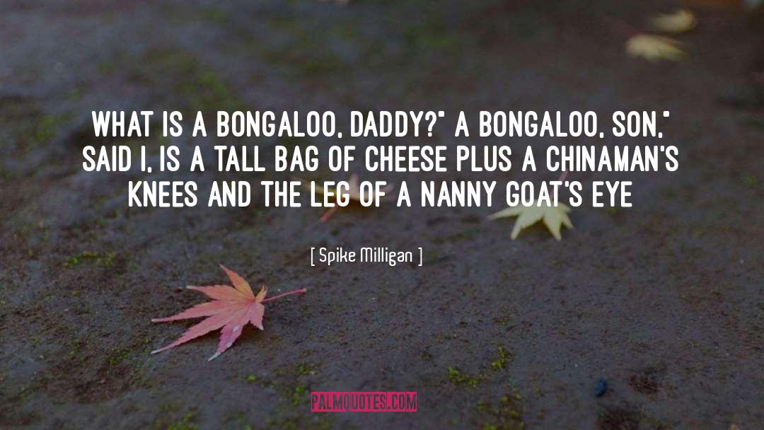 Spike Milligan Quotes: What is a Bongaloo, Daddy?
