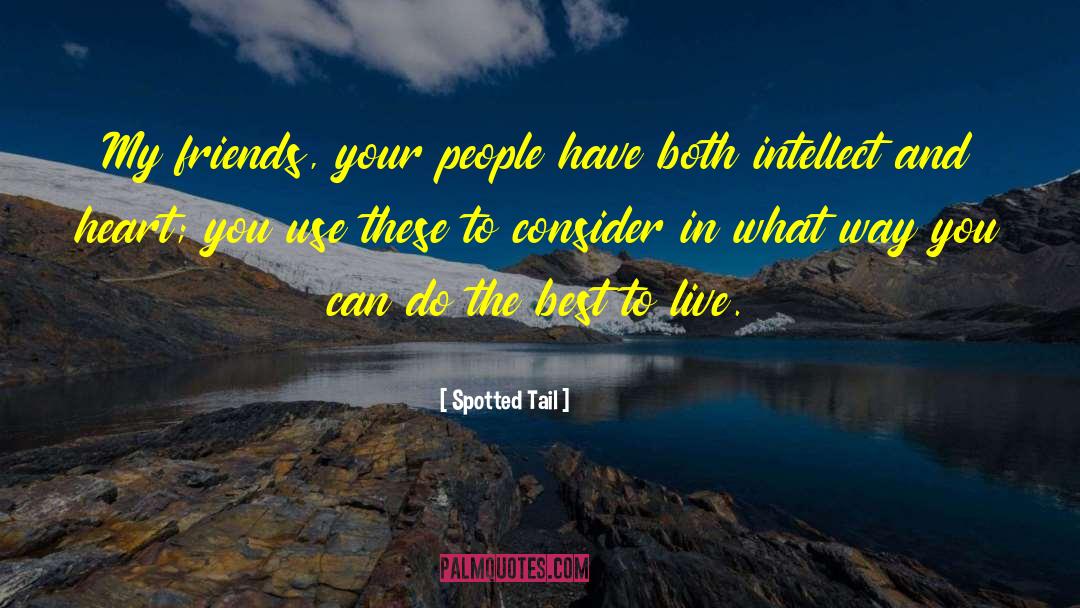 Spotted Tail Quotes: My friends, your people have