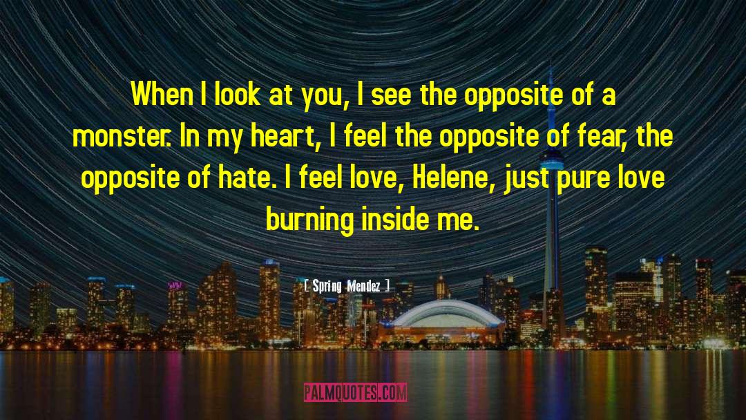 Spring Mendez Quotes: When I look at you,