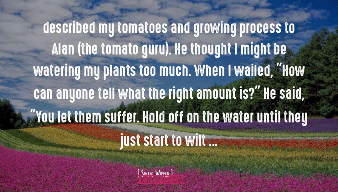 Spring Warren Quotes: described my tomatoes and growing