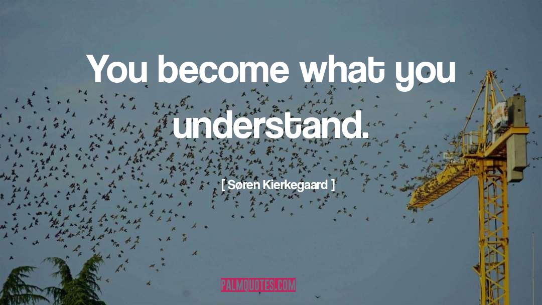 Søren Kierkegaard Quotes: You become what you understand.