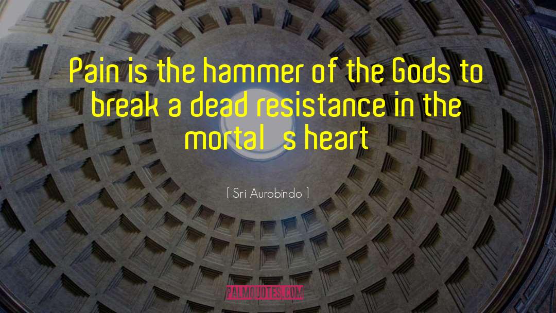 Sri Aurobindo Quotes: Pain is the hammer of