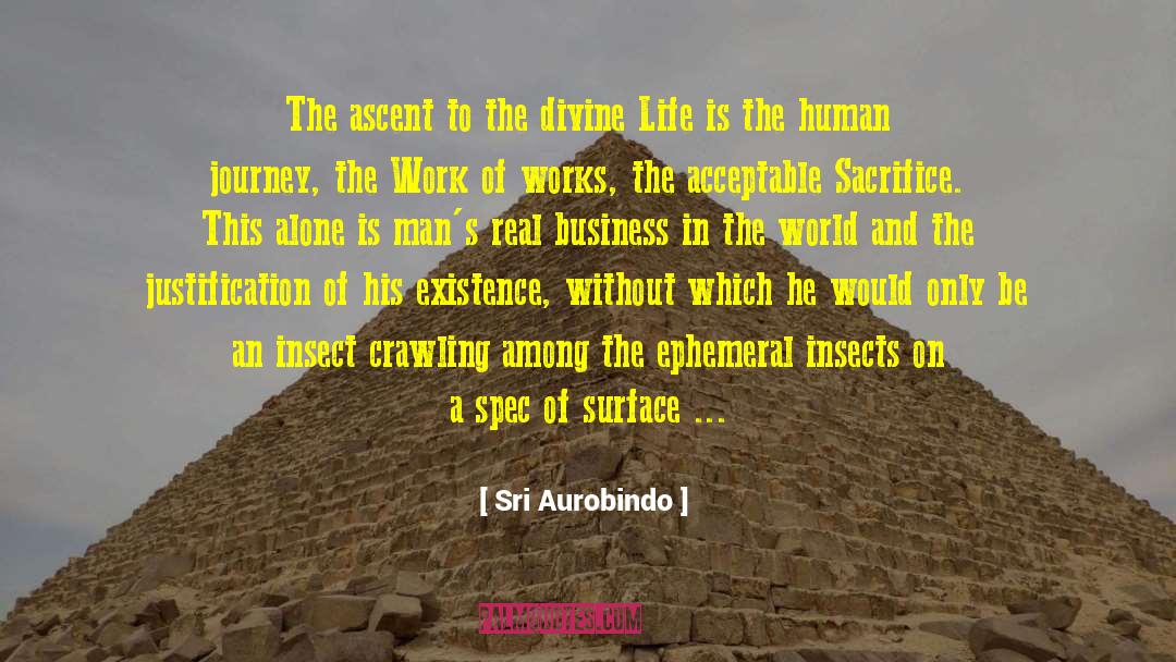 Sri Aurobindo Quotes: The ascent to the divine
