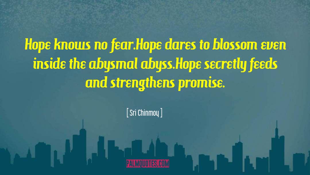 Sri Chinmoy Quotes: Hope knows no fear.<br>Hope dares