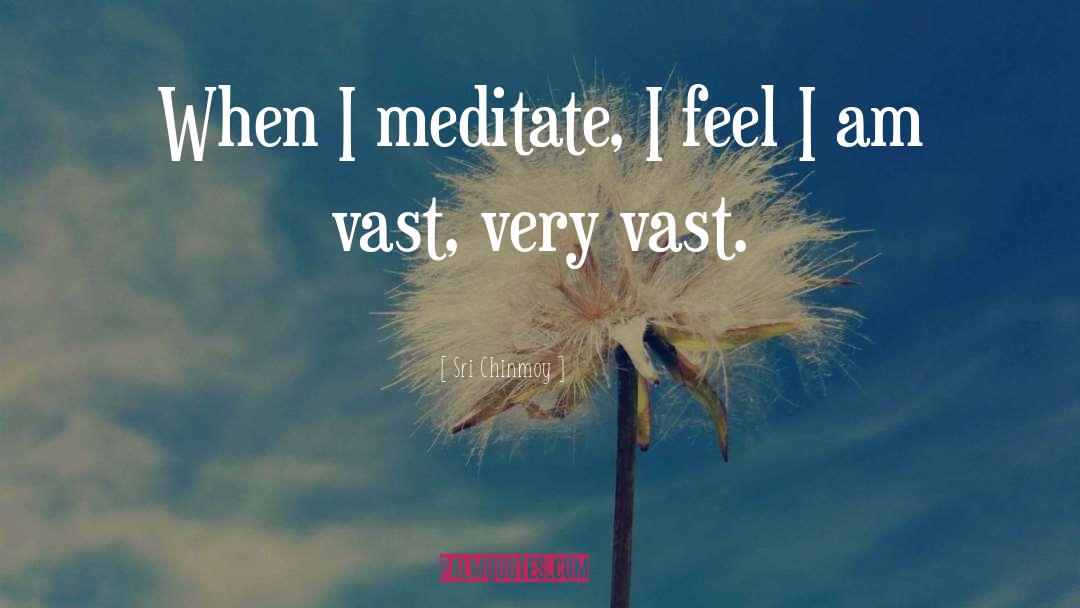 Sri Chinmoy Quotes: When I meditate, I feel