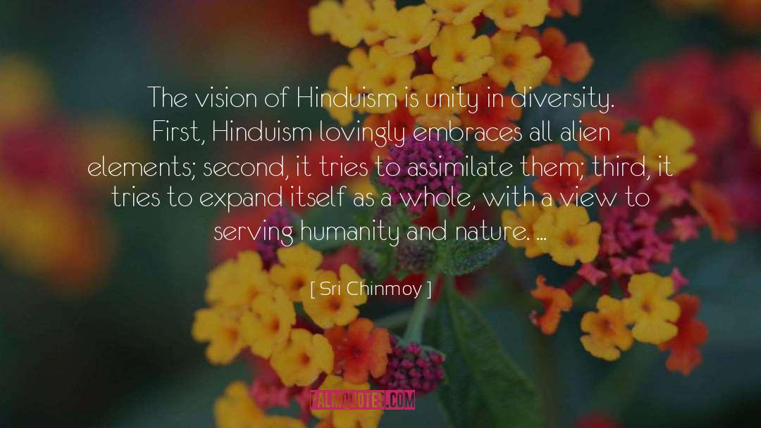 Sri Chinmoy Quotes: The vision of Hinduism is