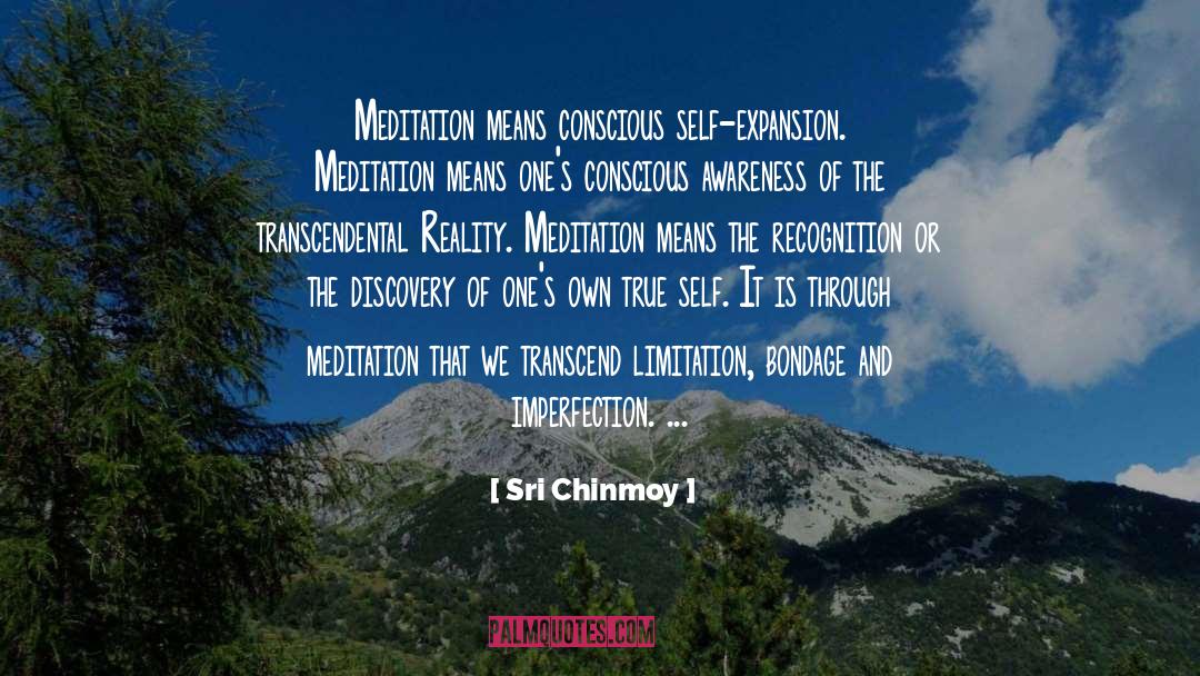 Sri Chinmoy Quotes: Meditation means conscious self-expansion. Meditation