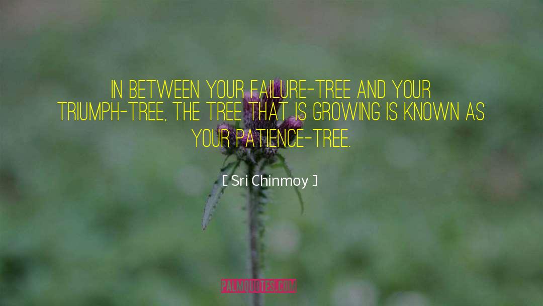 Sri Chinmoy Quotes: In between your failure-tree And