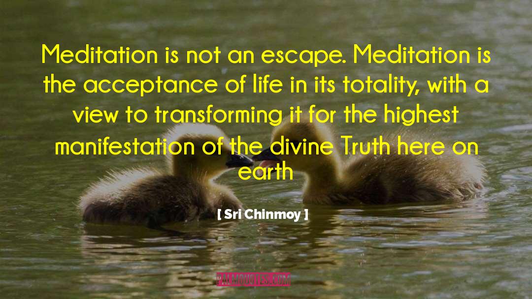 Sri Chinmoy Quotes: Meditation is not an escape.