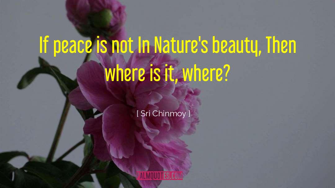 Sri Chinmoy Quotes: If peace is not In
