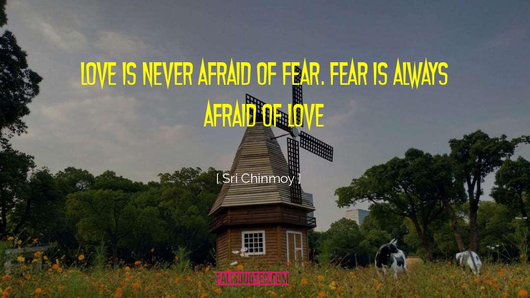 Sri Chinmoy Quotes: Love is never afraid of
