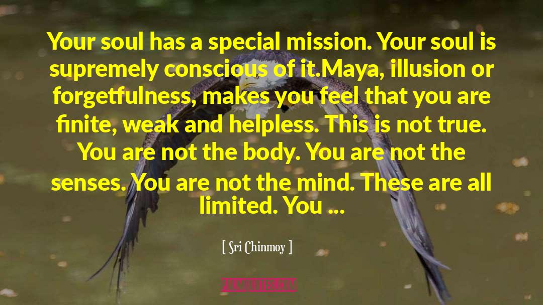Sri Chinmoy Quotes: Your soul has a special
