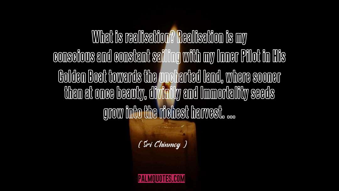 Sri Chinmoy Quotes: What is realisation? Realisation is