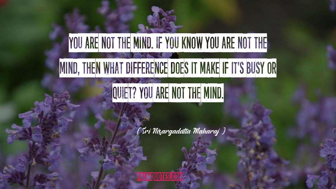 Sri Nisargadatta Maharaj Quotes: You are not the mind.