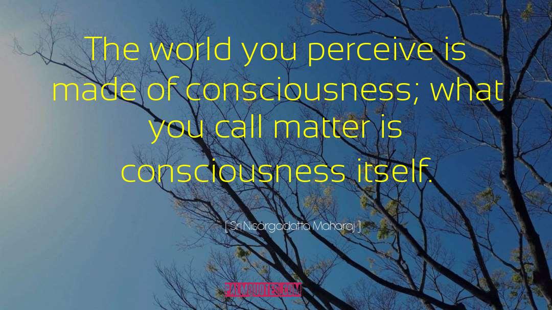Sri Nisargadatta Maharaj Quotes: The world you perceive is