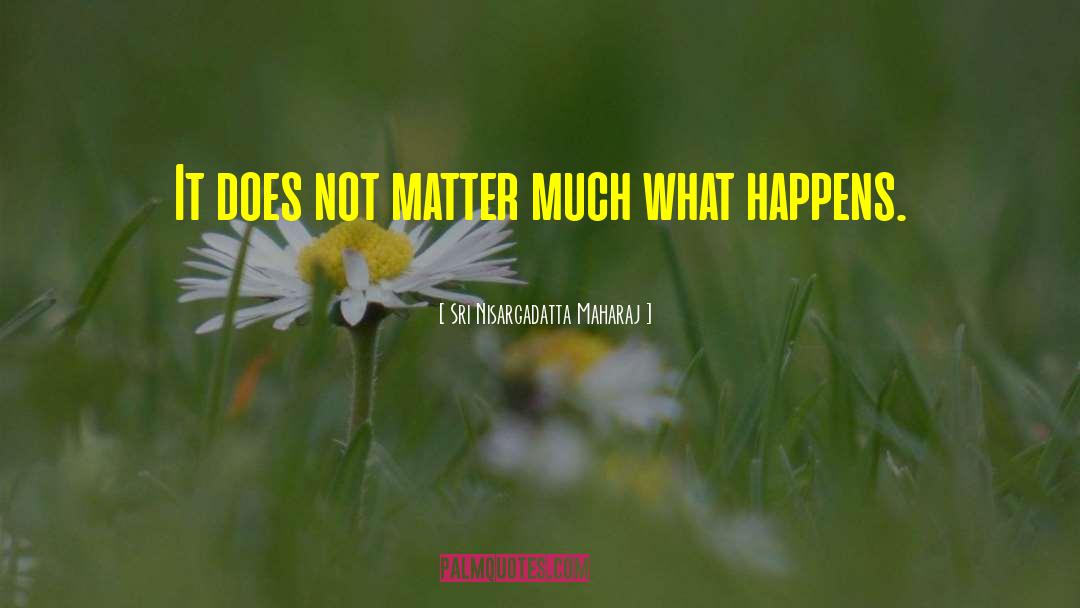 Sri Nisargadatta Maharaj Quotes: It does not matter much