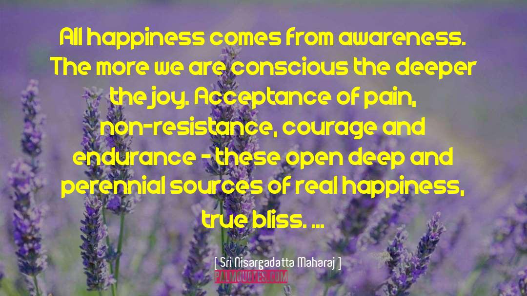 Sri Nisargadatta Maharaj Quotes: All happiness comes from awareness.