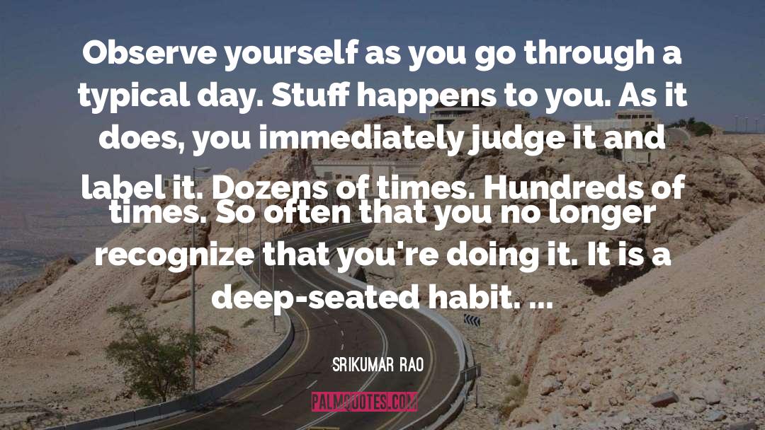 Srikumar Rao Quotes: Observe yourself as you go