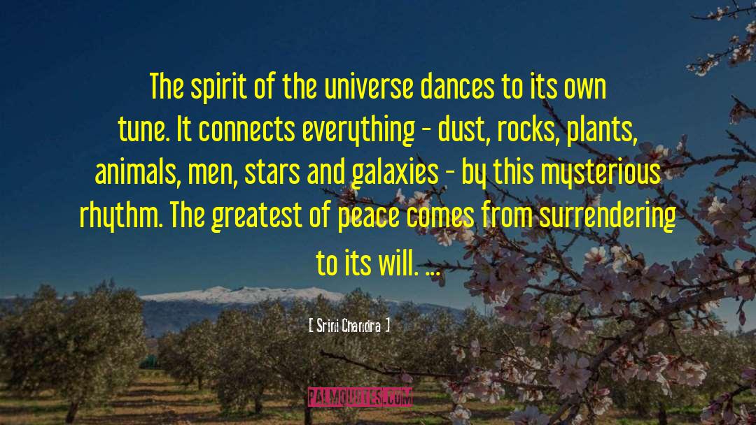 Srini Chandra Quotes: The spirit of the universe