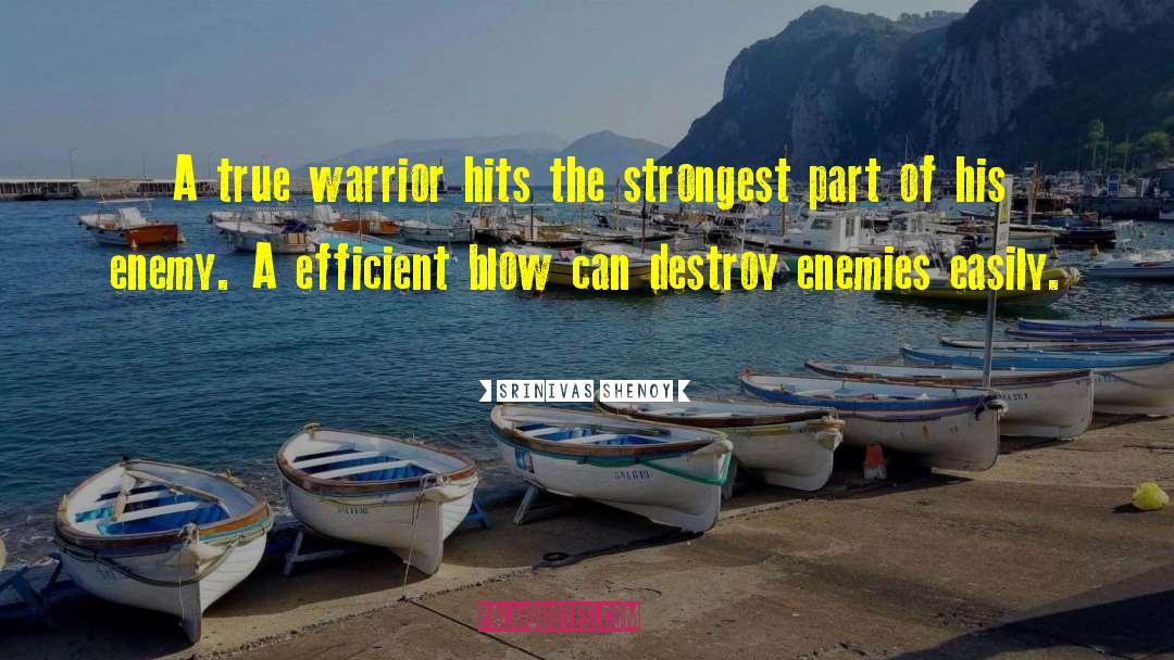 Srinivas Shenoy Quotes: A true warrior hits the