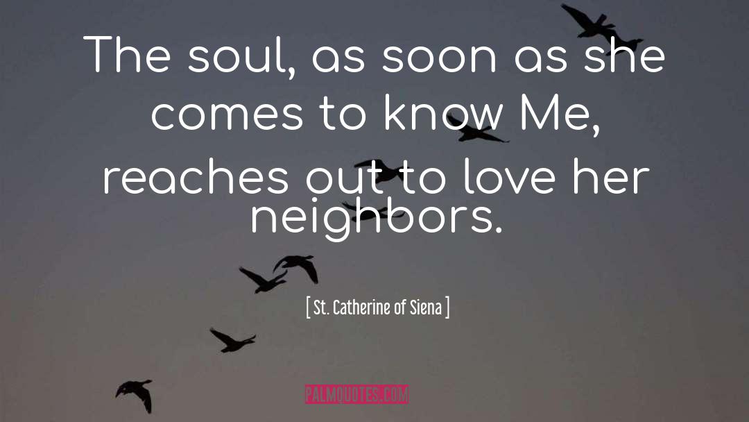 St. Catherine Of Siena Quotes: The soul, as soon as