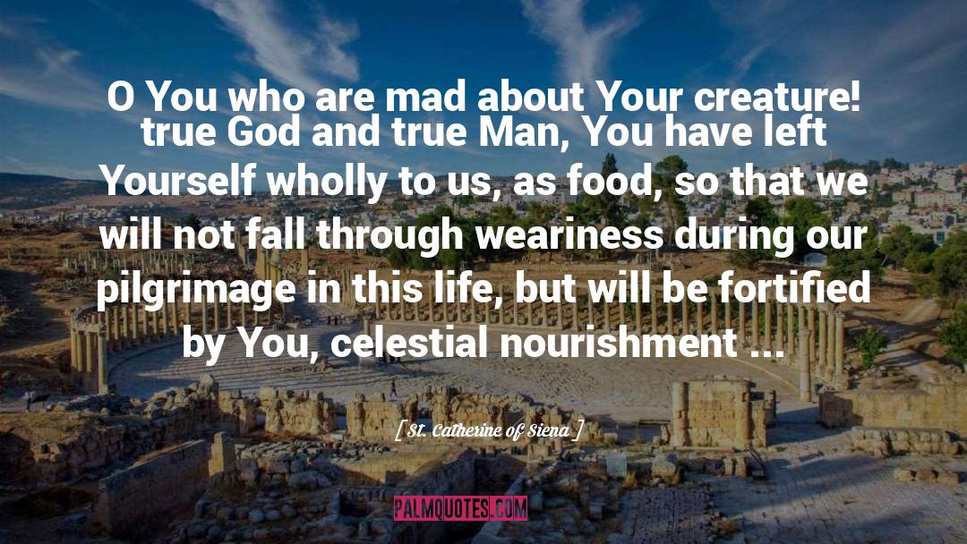 St. Catherine Of Siena Quotes: O You who are mad