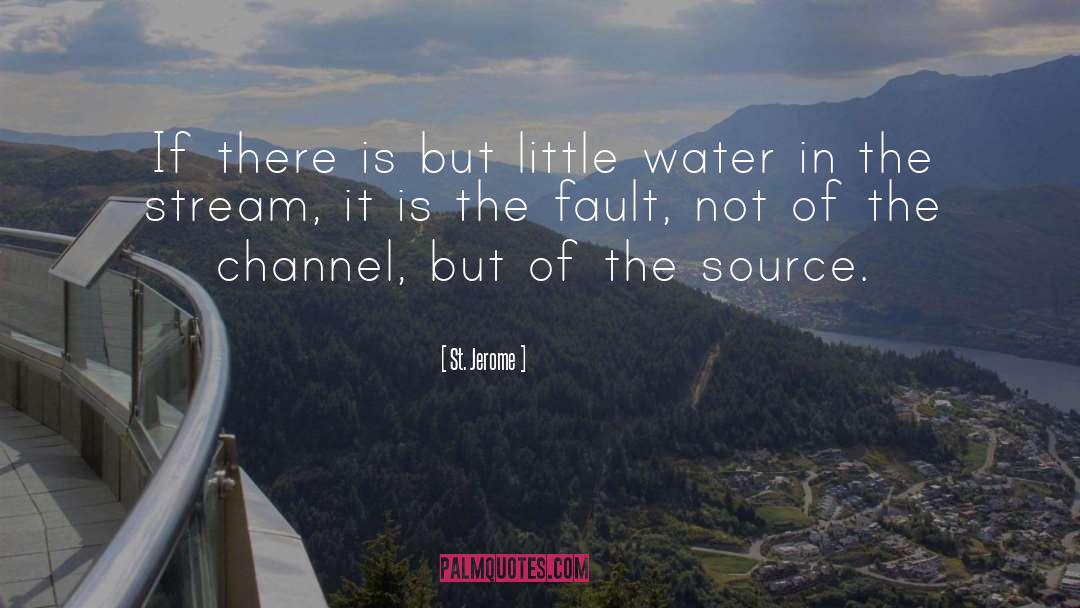 St. Jerome Quotes: If there is but little