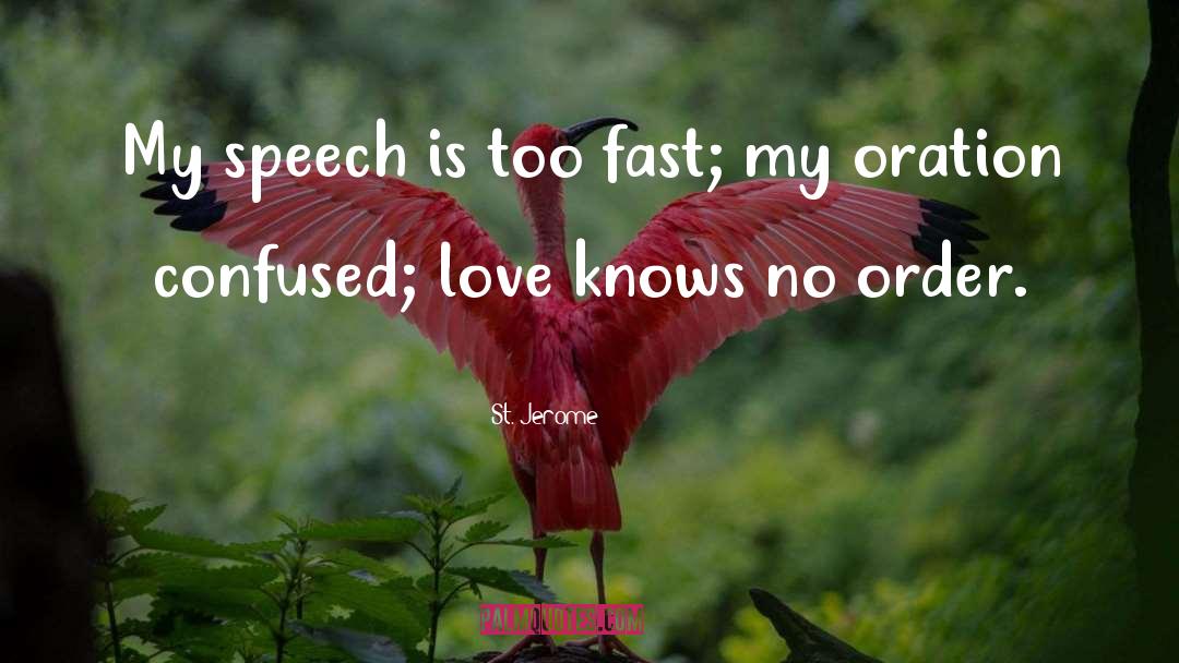 St. Jerome Quotes: My speech is too fast;