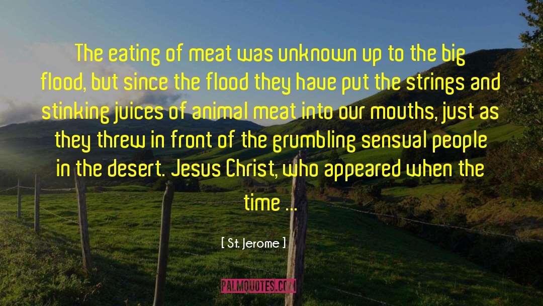 St. Jerome Quotes: The eating of meat was