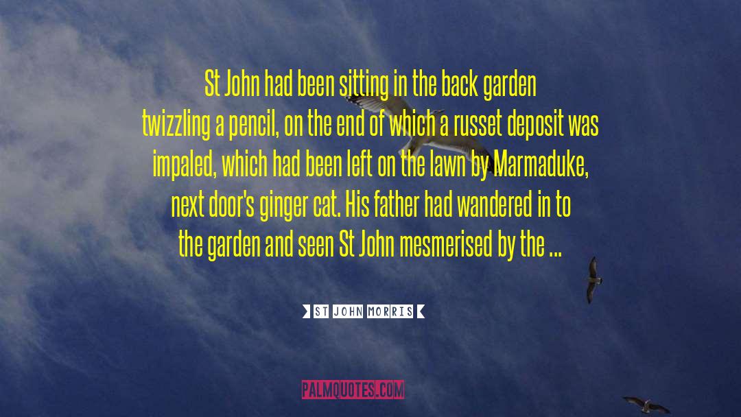 St John Morris Quotes: St John had been sitting