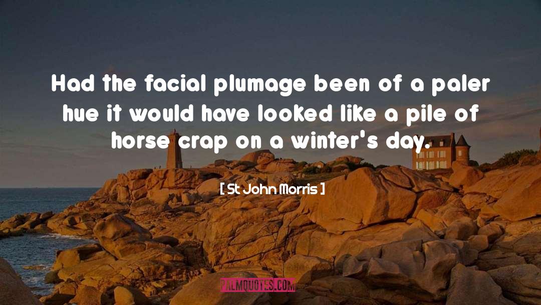 St John Morris Quotes: Had the facial plumage been