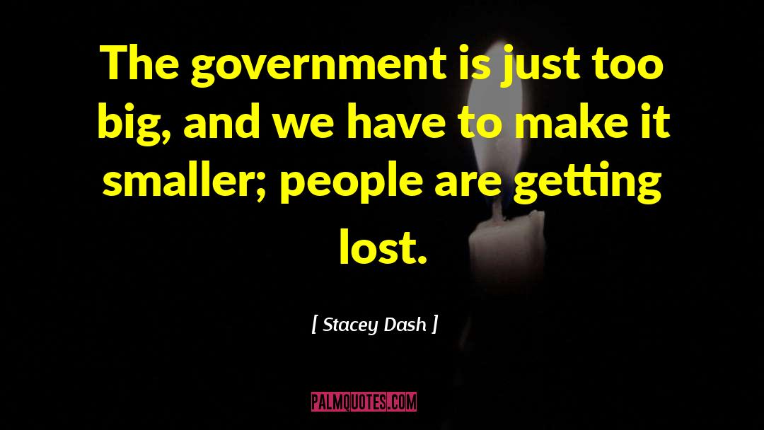 Stacey Dash Quotes: The government is just too