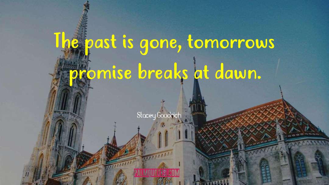 Stacey Goodrich Quotes: The past is gone, tomorrows