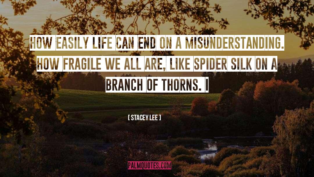 Stacey Lee Quotes: How easily life can end