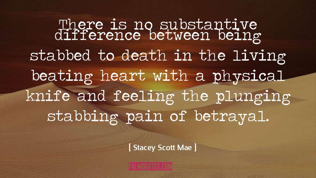 Stacey Scott Mae Quotes: There is no substantive difference