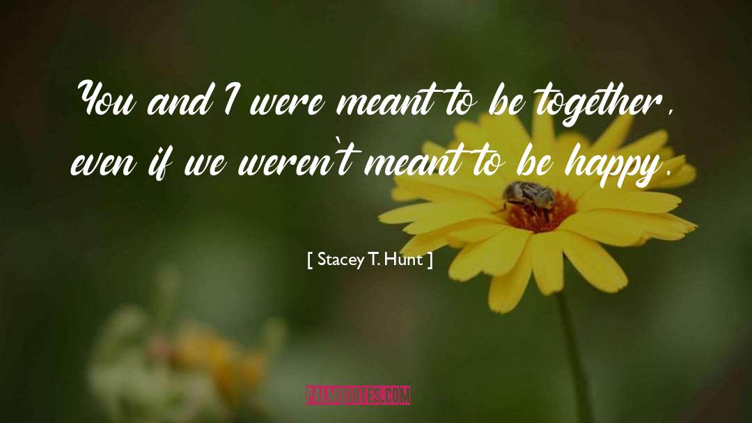 Stacey T. Hunt Quotes: You and I were meant